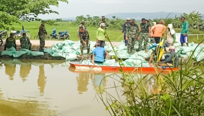 Tak Kenal Lelah, Babinsa Kodim Bojonegoro dan Masyarakat Benahi Tanggul Jebol