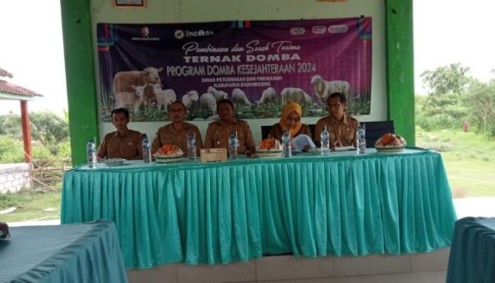 Program Domba Kesejahteraan dari Pemkab Bojonegoro, Penerima Ucapkan Terimakasih