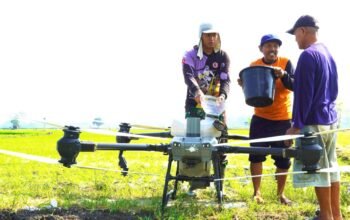 Drone Masuk Sawah Petani Bojonegoro, Pemupukan Lebih Cepat dan Hemat