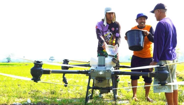 Drone Masuk Sawah Petani Bojonegoro, Pemupukan Lebih Cepat dan Hemat