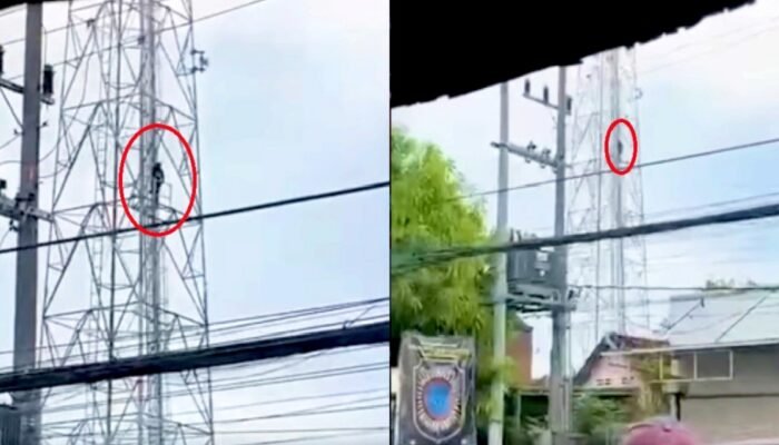 Pria Asal Sleman Panjat Tower di Sidoarjo, Damkar Turun Tangan Evakuasi Dramatis