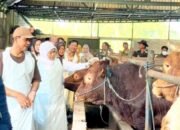 Gubernur Khofifah Sidak Pasar hingga Kandang Sapi di Bojonegoro