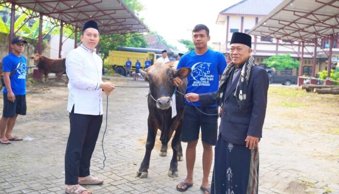 Polres Bojonegoro Tebar 22 Sapi dan 40 Kambing Kurban untuk Warga